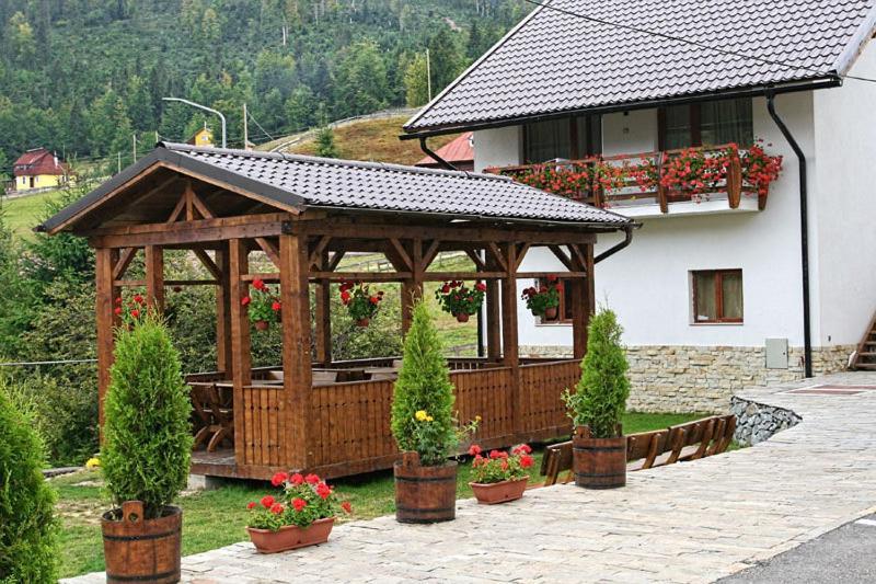 Pensiunea Vraja Muntelui Arieşeni エクステリア 写真